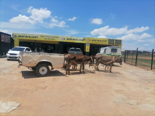 KNK Tyres – Trusted Dunlop dealer in Polokwane.